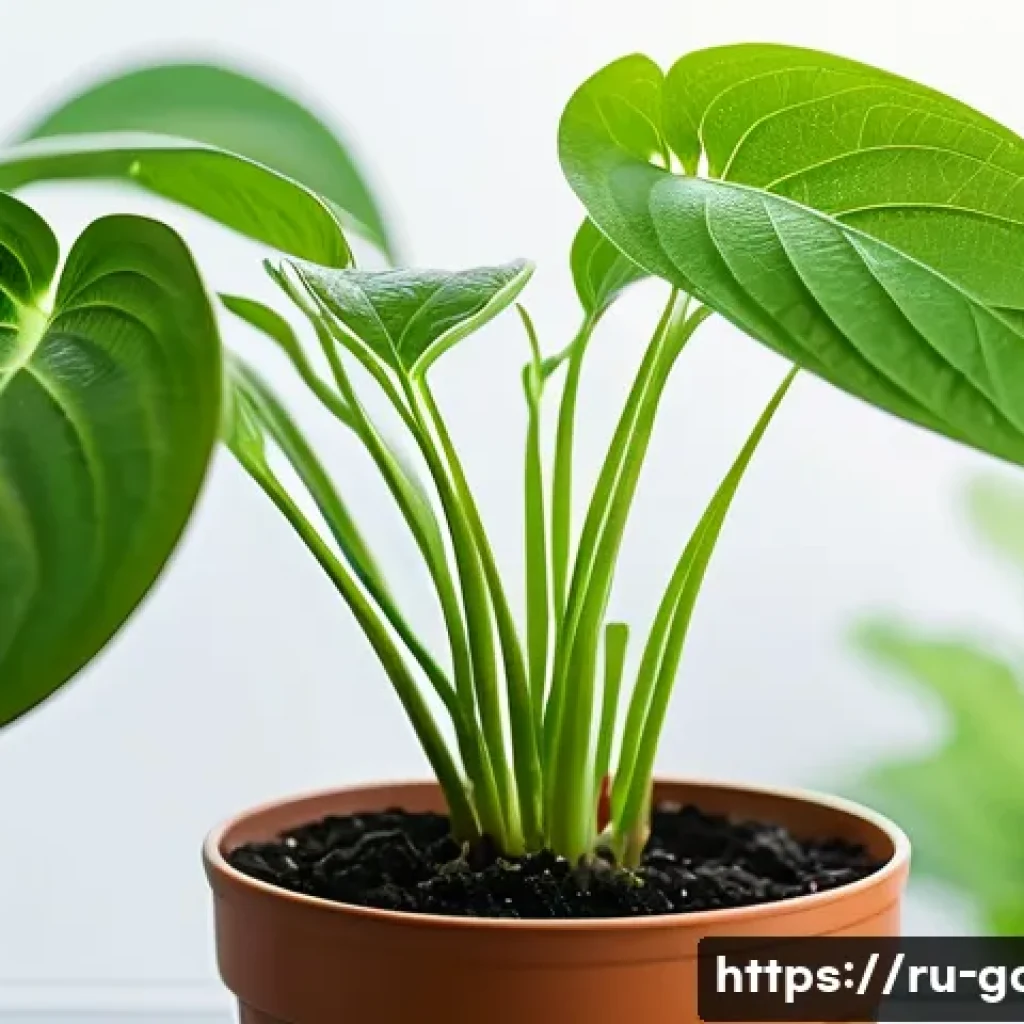 텃밭에서 식물 클로닝 방법 - A close-up scene of a healthy mother plant selected for cloning in a home garden setting, showing vi...