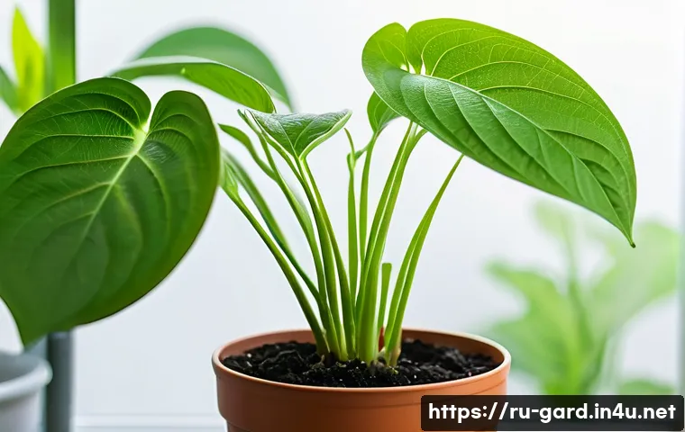 텃밭에서 식물 클로닝 방법 - A close-up scene of a healthy mother plant selected for cloning in a home garden setting, showing vi...